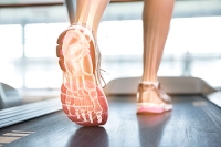 Understanding Foot Biomechanics